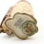 Whyte & Mackay Ceramic Short-Eared Owl 20cl