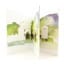 Macallan The Archival Series - Folio 2