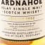 Ardnahoe 5 Year Old Feis Ile 2024