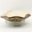 Bowmore Oyster Serving Platter