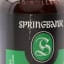 Springbank 15 Year Old 2025 Release