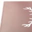Dalmore 12 Year Old