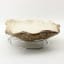 Bowmore Oyster Serving Platter