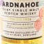 Ardnahoe 6 Year Old Feis Ile 2025