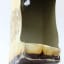Dallas Dhu 1969 15 Year Old Connoisseurs Choice 75cl
