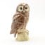 Ben Eagles Ceramic Tawny Owl 20cl