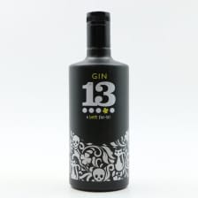 GIN 13