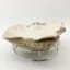 Bowmore Oyster Serving Platter