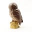 Whyte & Mackay Ceramic Tawny Owl 20cl