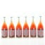 Integro Pet Nat Rosato Frizzante 6 x 75cl