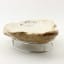 Bowmore Oyster Serving Platter