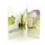 Macallan The Archival Series - Folio 5