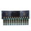 Johnnie Walker Blue Label Rare Animals Collection 12 x 20cl