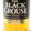 Black Grouse