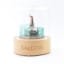 Singleton Music Box