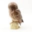 Ben Eagles Ceramic Tawny Owl 20cl