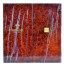 Macallan 1824 Collection MMXI