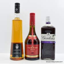 GORDON S SLOE GIN  CARTRON CREME DE MIRABELLE   TORRES SPICED SPIRIT DRINK
